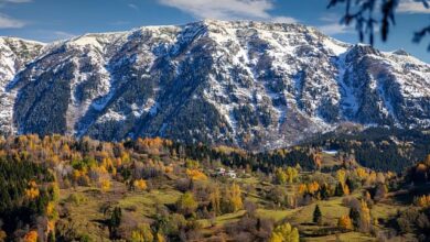 Artvin Gezi​