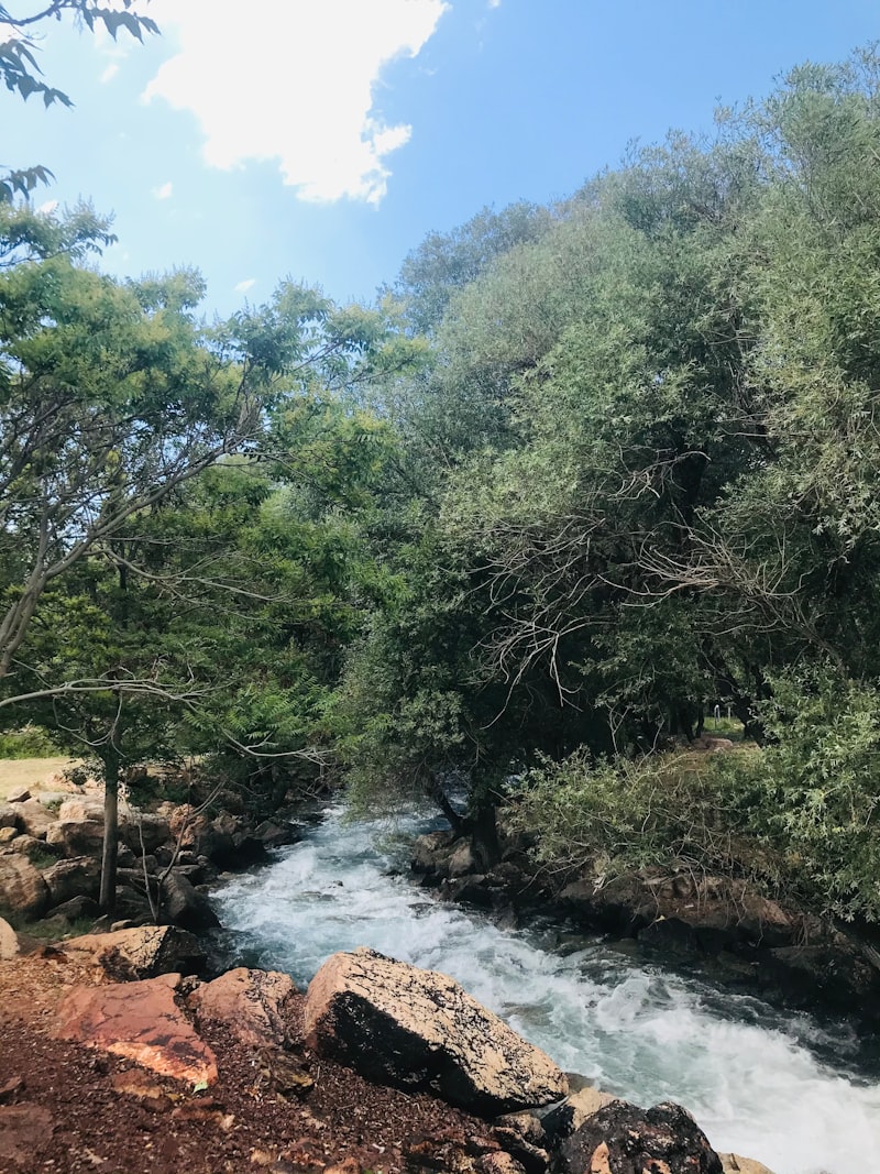 Doğu karadeniz yaylaları gezi yorumları