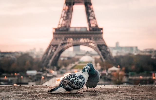 Ets benelüks paris turu