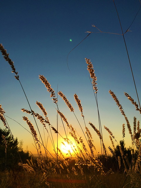 Ets tur crystal sunset luxury resort & spa