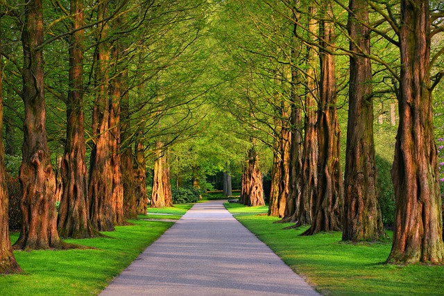 İlk uzun yol hikayeleri