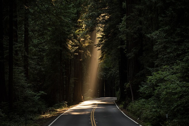 İlk uzun yol hikayeleri