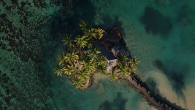 Kaplumbağa adası fiji